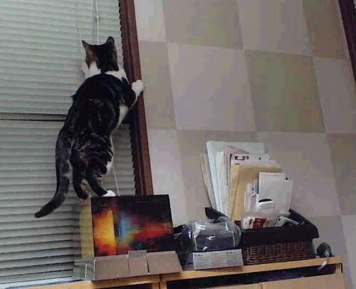 九游赛事-2024年国际乒联混合团体世界杯赛制变化汇总，2024世乒赛在哪