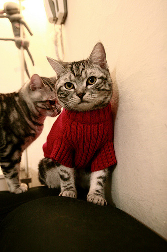 九游娱乐-“2025世界运动会沙滩手球赛事，精彩持续升温”