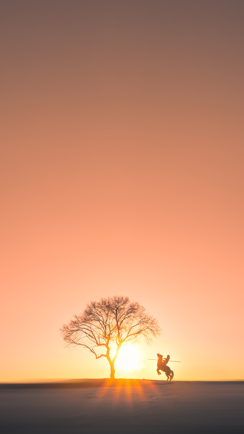 中国男篮全员投入训练 备战国际大赛,中国男子篮球国家队比赛