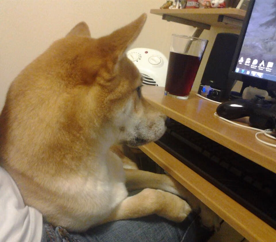 加拿大队在国际乒联混合团体世界杯中的技术创新与配合,加拿大国家队乒乓球